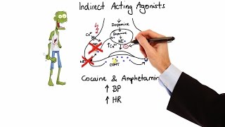 Pharmacology  ADRENERGIC RECEPTORS amp AGONISTS MADE EASY [upl. by Jefferey354]