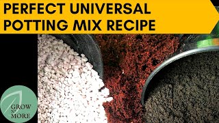 How to Make Perfect Universal Potting Mix for All Plants  Cheap amp Easy to Make Potting Mix Recipe [upl. by Wellington554]