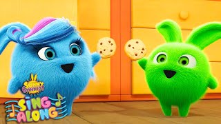 The Cookie Song  SUNNY BUNNIES  SING ALONG Compilation  Cartoons for Kids [upl. by Holtorf14]