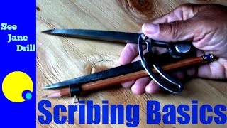 How to Scribe A Beginners Tutorial [upl. by Kcirneh]