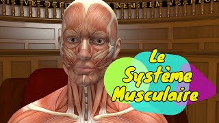 Physiologie humaine Le Système Musculaire  The Muscular System [upl. by Halford]