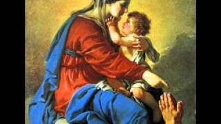 Salve Mater Misericordiae  Catholic Song of Praise to Mary [upl. by Kamin]