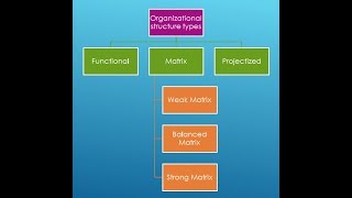 Types Of Organizational Structure  Functional  Matrix  Projectized [upl. by Leugim480]