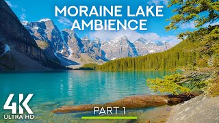 8 HOURS Bird Songs on the Moraine Lake Canada  Nature Relaxation Video in 4K Ultra HD  Part 1 [upl. by Sotsirhc]