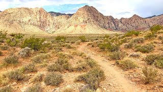 Best Red Rock Canyon Mountain Biking  Las Vegas Nevada [upl. by Eimirej]