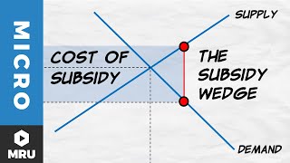 Subsidies [upl. by Eveleen]