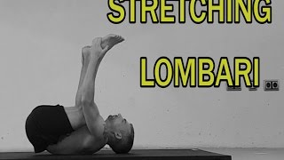 Stretching Parte 10 Lombari [upl. by Cirle851]