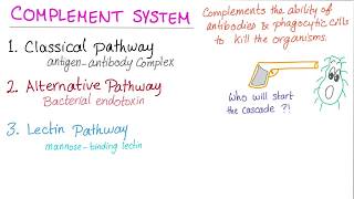 Alternative Complement Pathway [upl. by Kerril269]