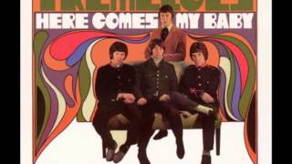 THE TREMELOES Here Comes My Baby 1967 HQ [upl. by Acquah]