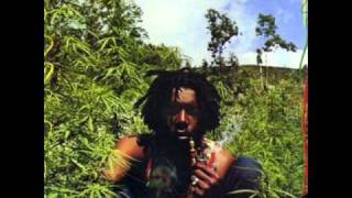 Peter Tosh  No sympathy [upl. by Ardnekat980]