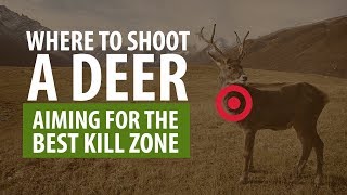 Where To Shoot A Deer [upl. by Trescha165]