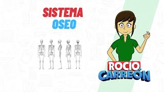 SISTEMA ÓSEO [upl. by Analeh]