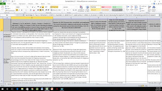 How to Create a Literature Matrix Excel [upl. by Akemehc]