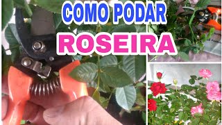 Como podar mini rosas Simples e radical [upl. by Fe]