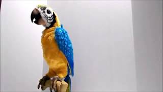 Squawkers McCaw FurReal Friends Interactive Talking Parrot [upl. by Agretha]