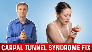 Anatomy of the Carpal Tunnel amp Syndrome [upl. by Drannel263]