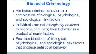 Theories of Criminology Dr A Black [upl. by Origra]