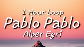 Alper Egri  Pablo Pablo One Hour Loop Tiktok Song [upl. by Itirahc]