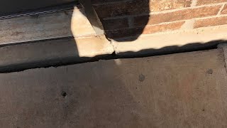 Seal Gap In Foundation and Concrete Patio or Sidewalk [upl. by Armillia]