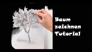 Zeichnen lernen Baum zeichnen mit Bleistift [upl. by Karub]