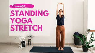 5 MIN STANDING YOGA STRETCH  Yoga Without Mat  Office Yoga Break [upl. by Shepley]