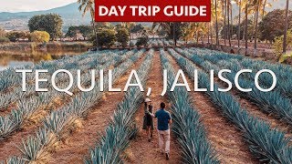 TEQUILA JALISCO  Day Trip Guide  Tequila Tours  La Alborada  Fortaleza [upl. by Olethea884]