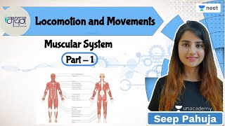 Locomotion and Movements  Muscular System  L1  NEET 202223  Seep Pahuja [upl. by Haman]