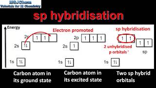 S2216 Hybridisation HL [upl. by Byrdie]