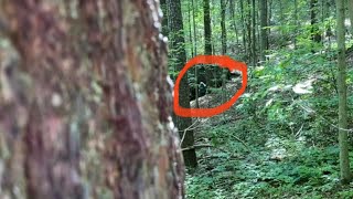 A Neighbor Asked Me To Have Our Viewers Review This Footage Taken In The Woods On Our Property Line [upl. by Hitchcock]