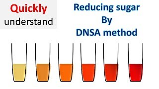 Reducing sugar by DNS method  3 5 Dinitrosalicylic acid DNSA method [upl. by Alard163]