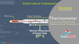 Heat Class 7 Science  Thermometer  Clinical Thermometer  Measurement of Temperature [upl. by Justen]