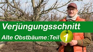 Verjüngungsschnitt  Alte Obstbäume schneiden  Teil 1 [upl. by Weinshienk]