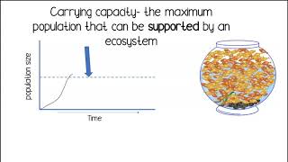 Carrying Capacity [upl. by Macmillan]