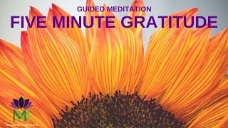 5 Minute Guided Meditation for Gratitude  Mindful Movement [upl. by Silvanus]