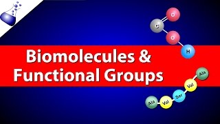 Biomolecules and Functional Groups [upl. by Quentin]