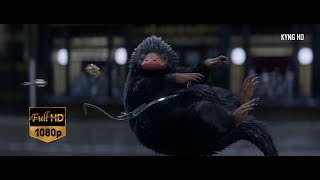 Newt catching Niffler Full HD 1080p [upl. by Sofie]