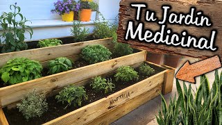 Un JARDIN HERMOSO de PLANTAS MEDICINALES  Las 10 Plantas MÁS Curativas  Menta Orégano Albahaca [upl. by Linskey]