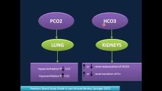 Arterial Blood Gas Analysis ABG [upl. by Burnside473]