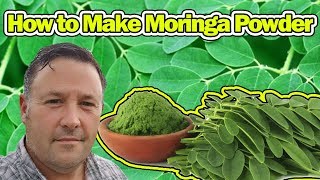 How to Make Moringa Powder  Super Healthy  Tree of Life [upl. by Enreval671]