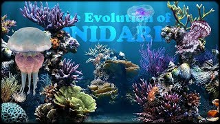 Evolution of Cnidarians [upl. by Gerdeen865]