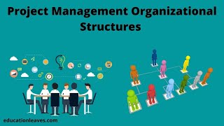 Project Management Organizational Structures [upl. by Ahseit472]