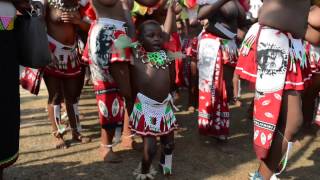 Umhlanga The Reed Dance in Swaziland [upl. by Skillern]