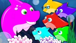 Five Little Sharks  Nursery Rhymes  Kids Songs  Baby Rhymes  Shark Song  Kids Tv Cartoon Videos [upl. by Anikahs]