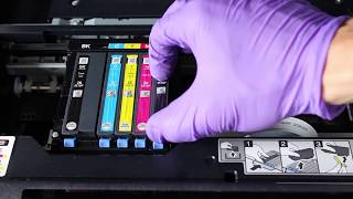 How to Clean Epson Expression Premium XP500 XP600 XP700 XP800 XP900 series of printers [upl. by Oiram]