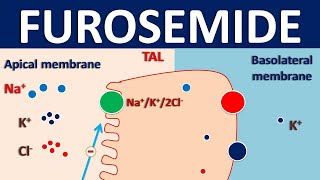 Urologist explains Premature Ejaculation  cause and treatments  for patients and partners [upl. by Hasila]