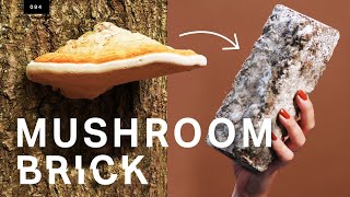 This mushroom brick could replace concrete [upl. by Eelidnarb]