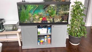 Marineland 75 Gallon Tank Review [upl. by Nhtanhoj]