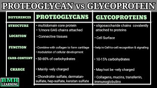 Proteoglycans Vs Glycoproteins  Difference Between Proteoglycans And Glycoproteins [upl. by Gault673]