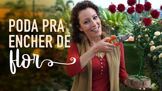 Como podar ROSEIRAS pra ENCHER de flor [upl. by Joses]