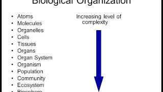 Biology 1010 Lecture 1 Intro to Biology [upl. by Serafina]